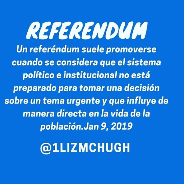 Referendum